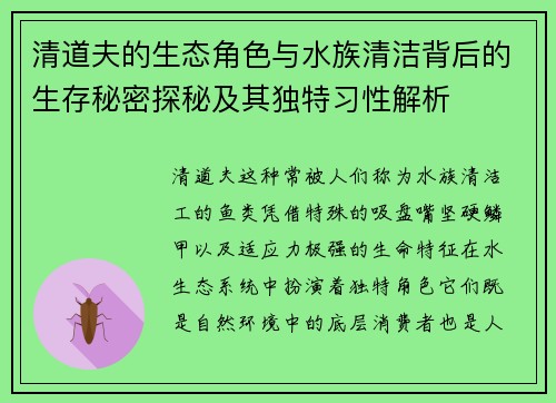 清道夫的生态角色与水族清洁背后的生存秘密探秘及其独特习性解析